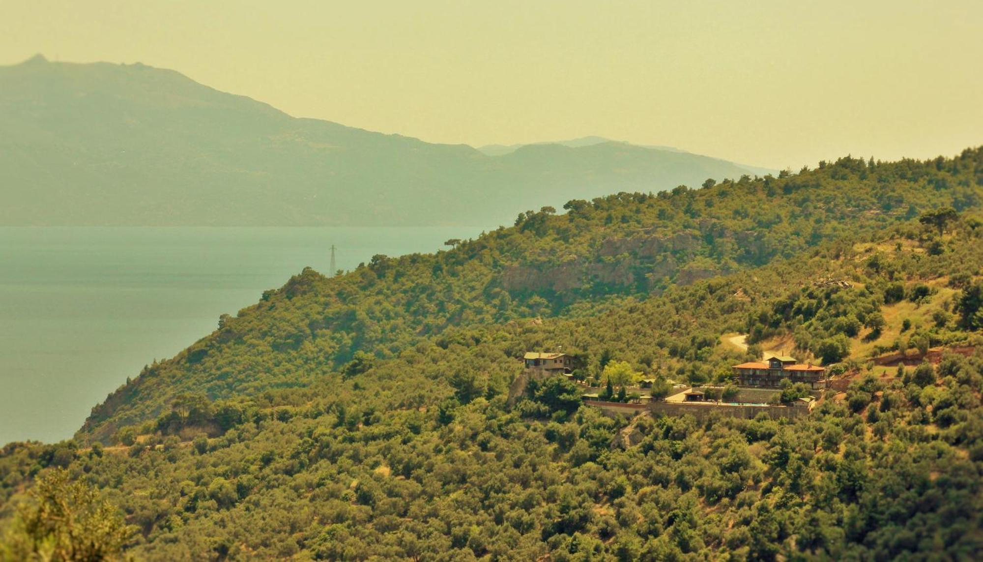 Assos Kartal Yuvasi Hotel Sazlı Zewnętrze zdjęcie