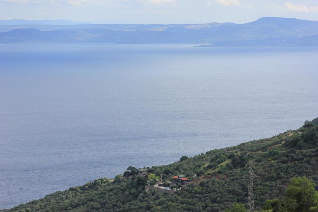 Assos Kartal Yuvasi Hotel Sazlı Zewnętrze zdjęcie